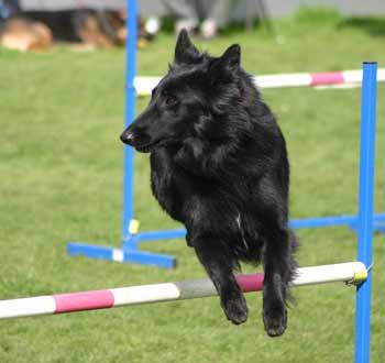 Dasha 20 maanden oud