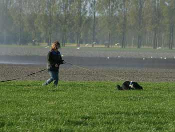 Dasha aan het speuren