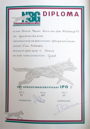 Diploma